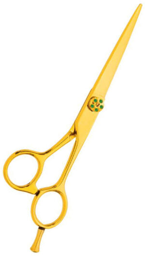 Professional Hair Cutting Scissor